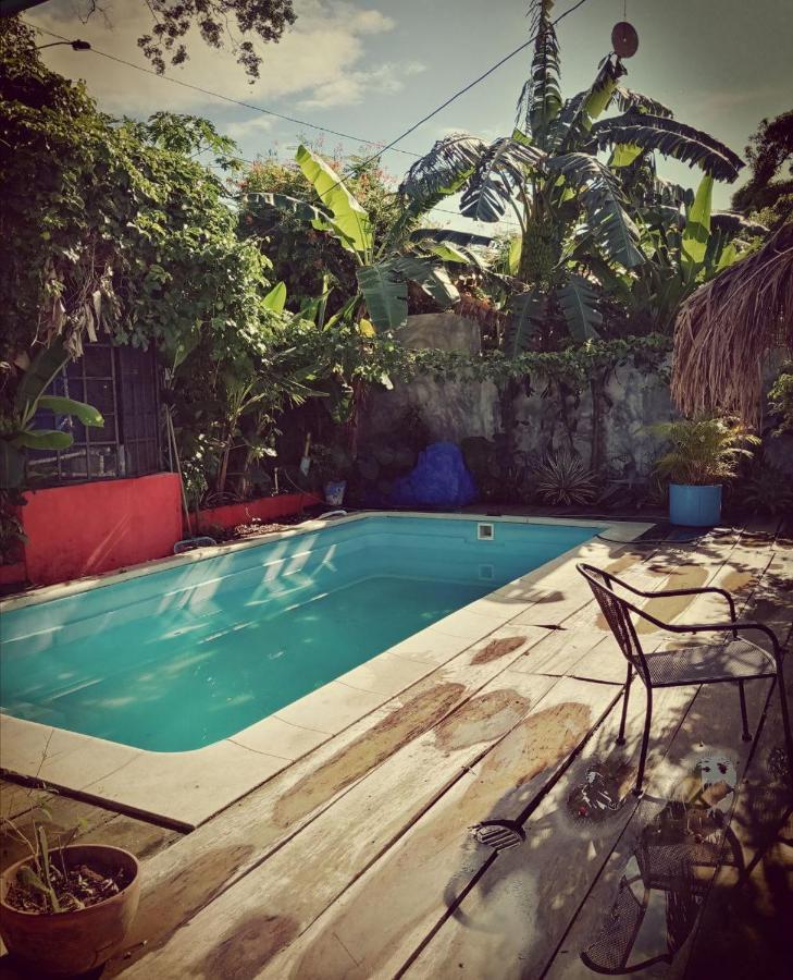 Meanwhile In Veracruz Zewnętrze zdjęcie