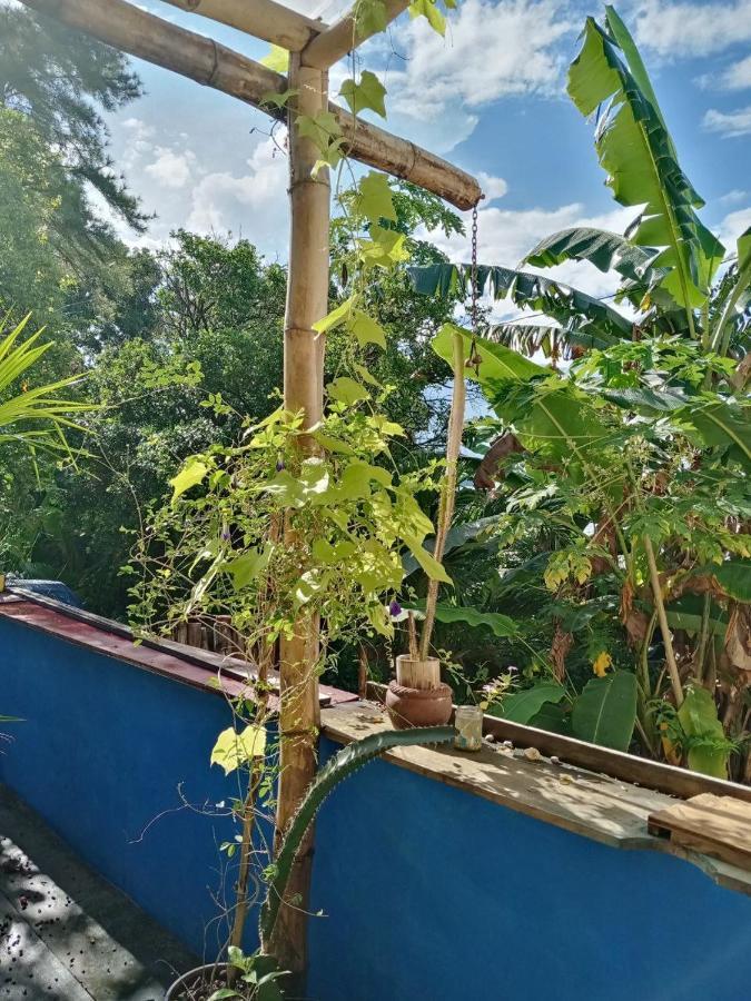 Meanwhile In Veracruz Zewnętrze zdjęcie