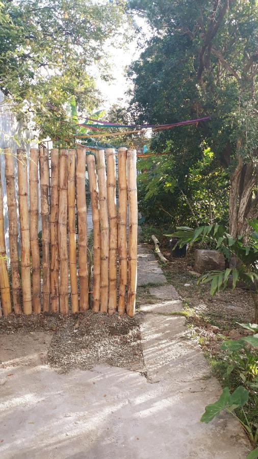 Meanwhile In Veracruz Zewnętrze zdjęcie