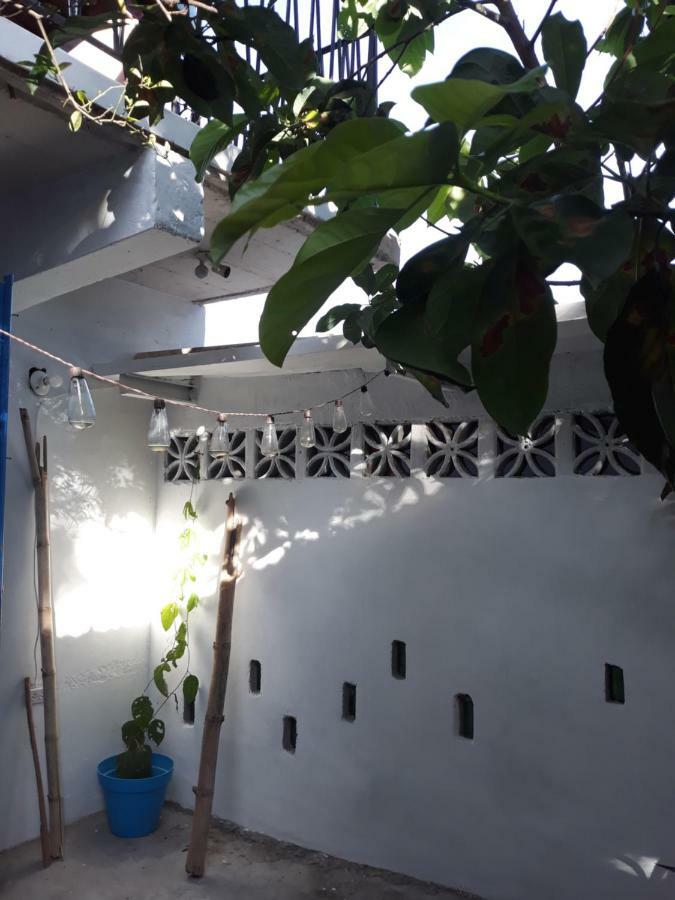 Meanwhile In Veracruz Zewnętrze zdjęcie